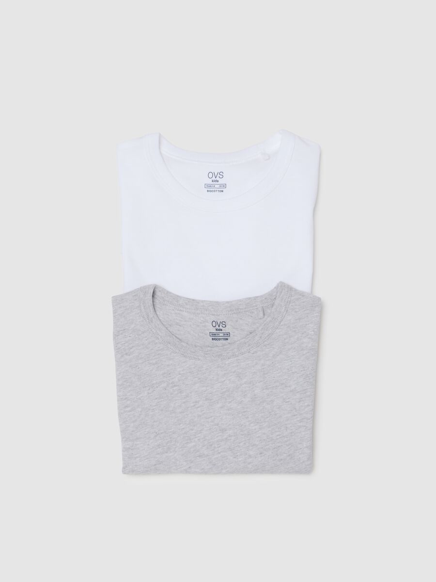 Multicolour regular fit pure cotton children's t-shirt twin pack_3