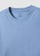 Pure cotton blue regular fit t-shirt_5