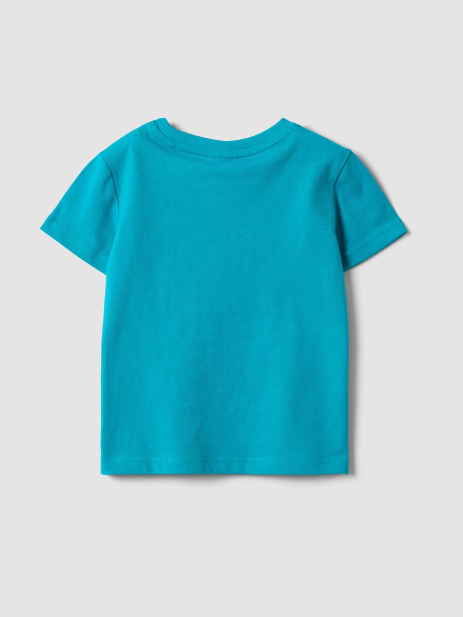 T-shirt azzurra a maniche corte in cotone organico_1
