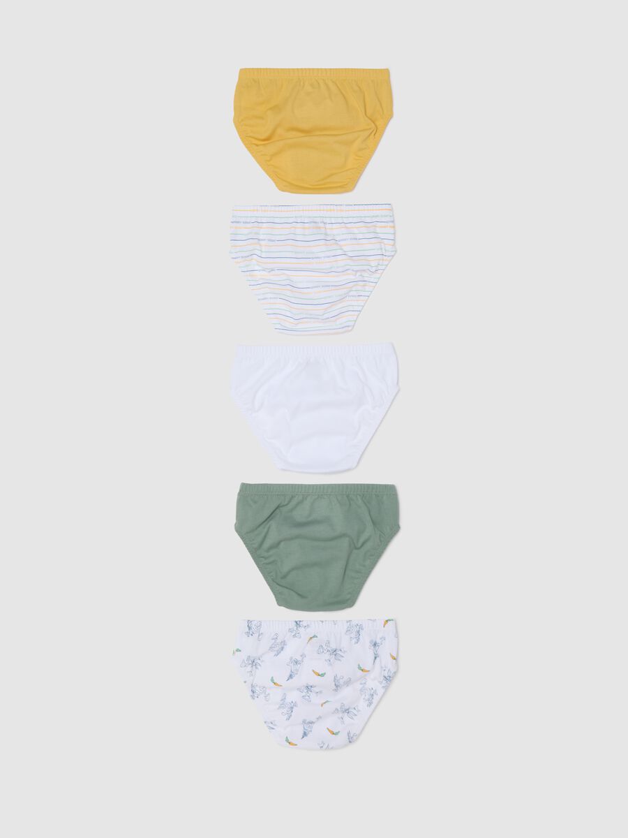 Five-pack white and green Bugs Bunny and Taz briefs_1