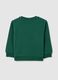 Green pure cotton regular fit children's sweatshirt_1