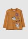 Children's Brown Pure Cotton Regular Fit Jumper_0