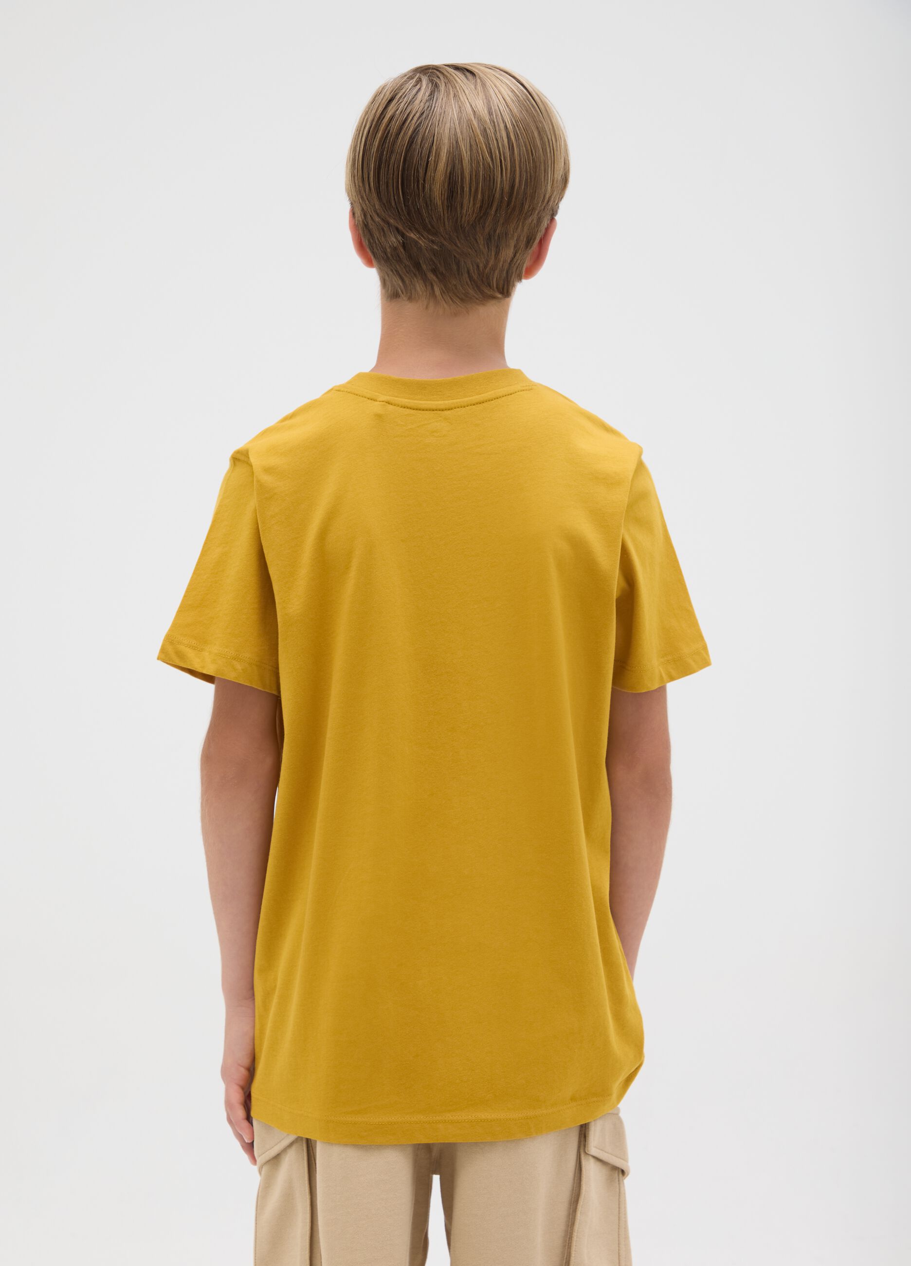 Boys' gold regular fit pure cotton t-shirt with print