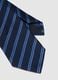 Striped Blue Tie in Pure Silk_1