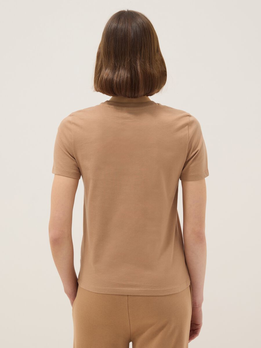 T-shirt girocollo in puro cotone marrone regular fit_2