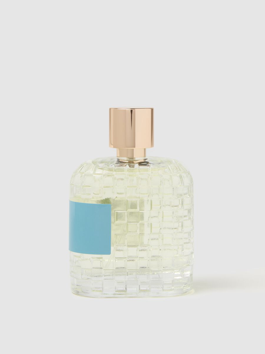 Water Fall - an aromatic and citrus extract_1