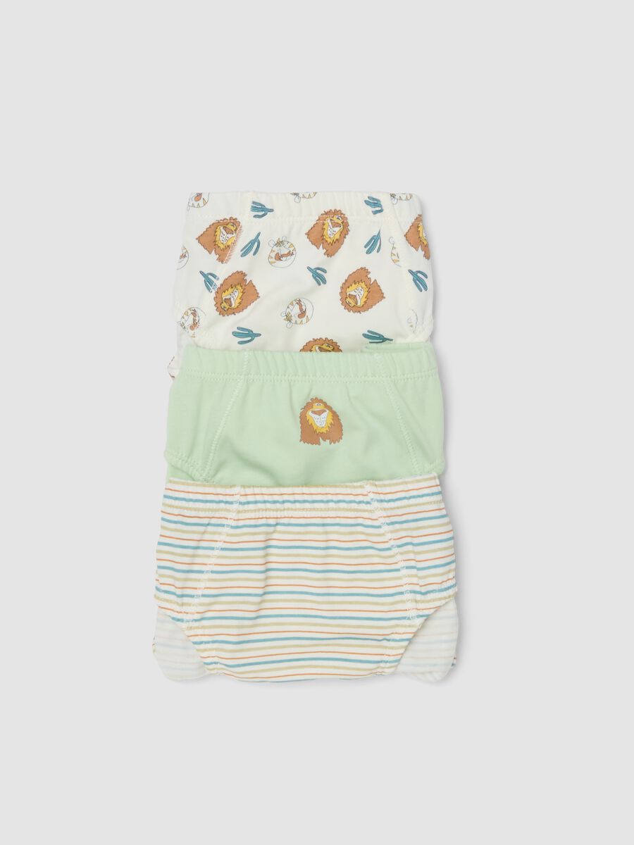 3-pack of multicoloured organic cotton briefs_3
