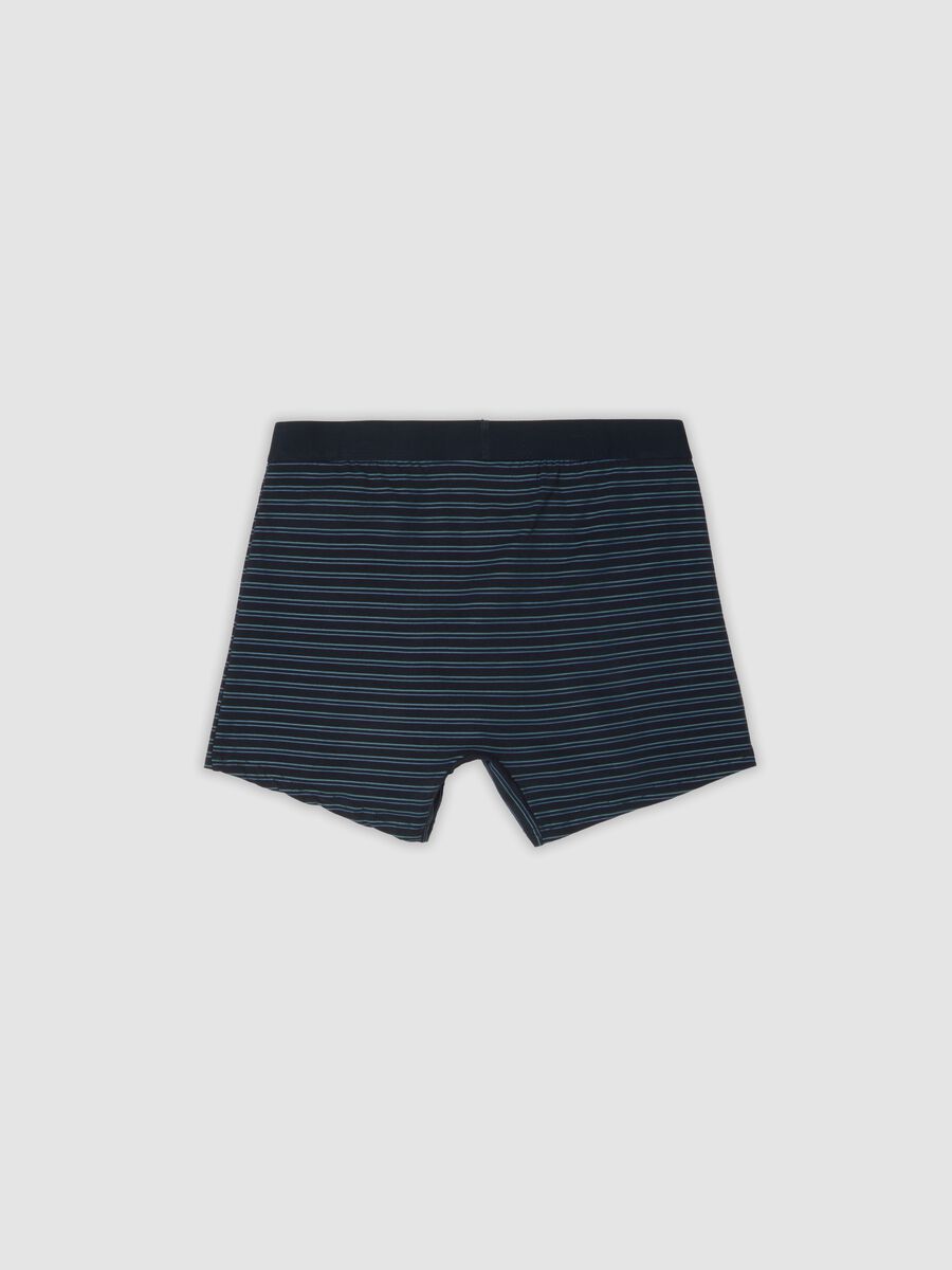Pack of 3 blue mid-length boxer briefs in stretch organic cotton_2
