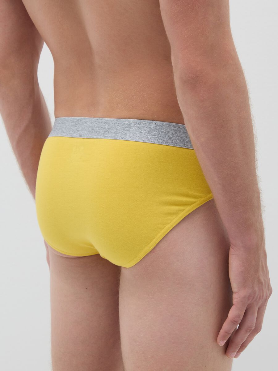 Men's Multicolor Cotton Regular Fit 3-Pack Briefs_2