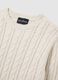 Beige Regular Fit Sweater_5