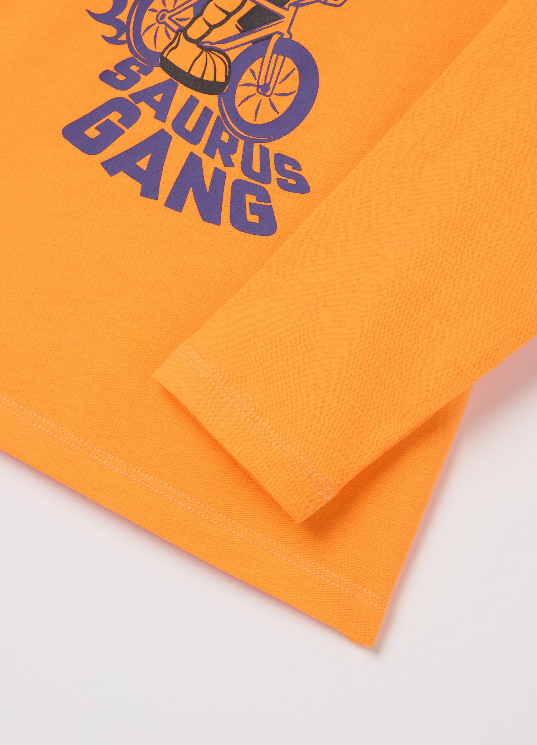 Long-sleeved T-shirt in cotton with print