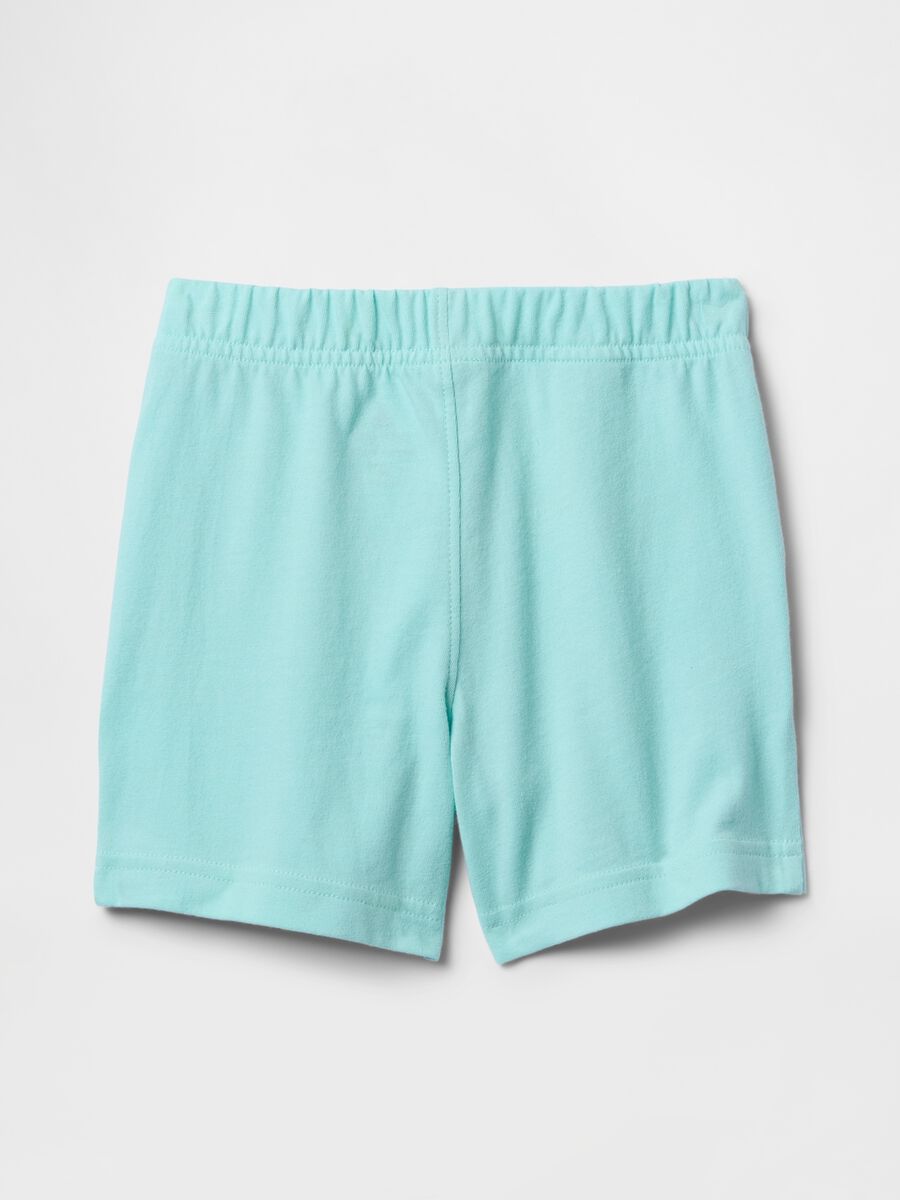 Soft Blue Shorts with Embroidered Logo_1