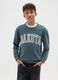 Kids' Green Crew Neck Sweatshirt with Print_1