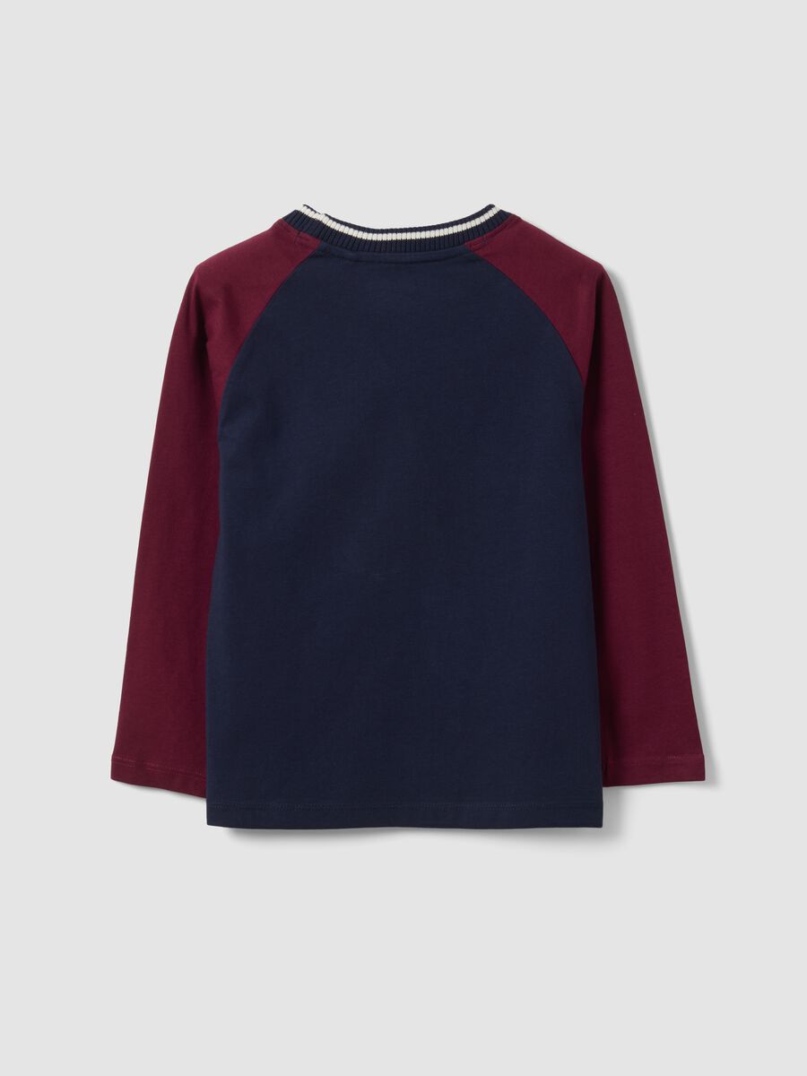 T-shirt blu in puro cotone con girocollo con stampa Harry Potter_1