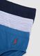 Multipack of five multicolour briefs in pure organic cotton jersey_3