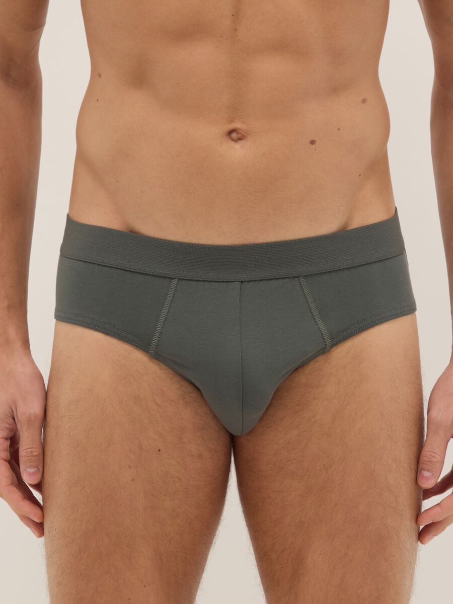 Multipack of regular fit multicolour stretch cotton briefs_1