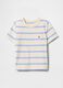 Horizontal Stripe Cotton T-shirt_0