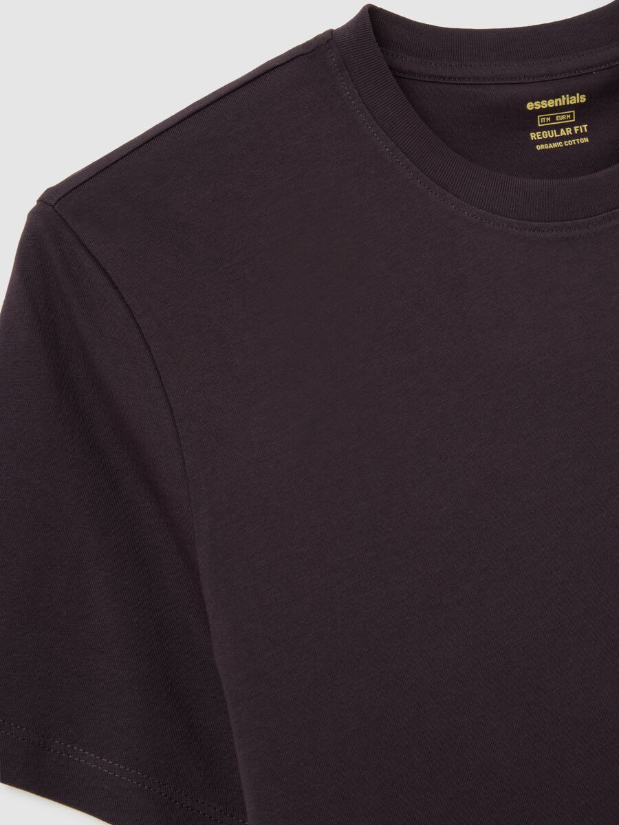 T-shirt in puro cotone marrone regular fit_5
