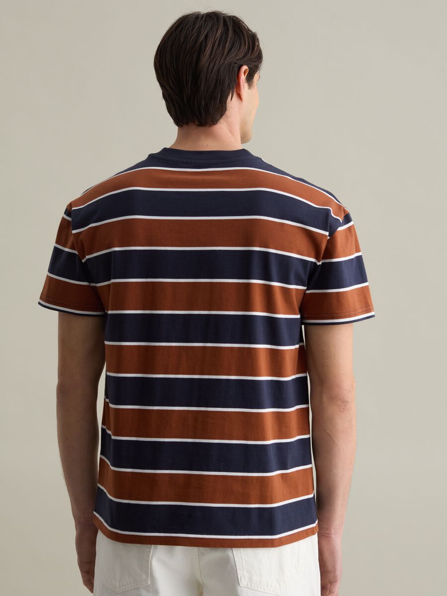 Cotton T-shirt with horizontal stripes_3