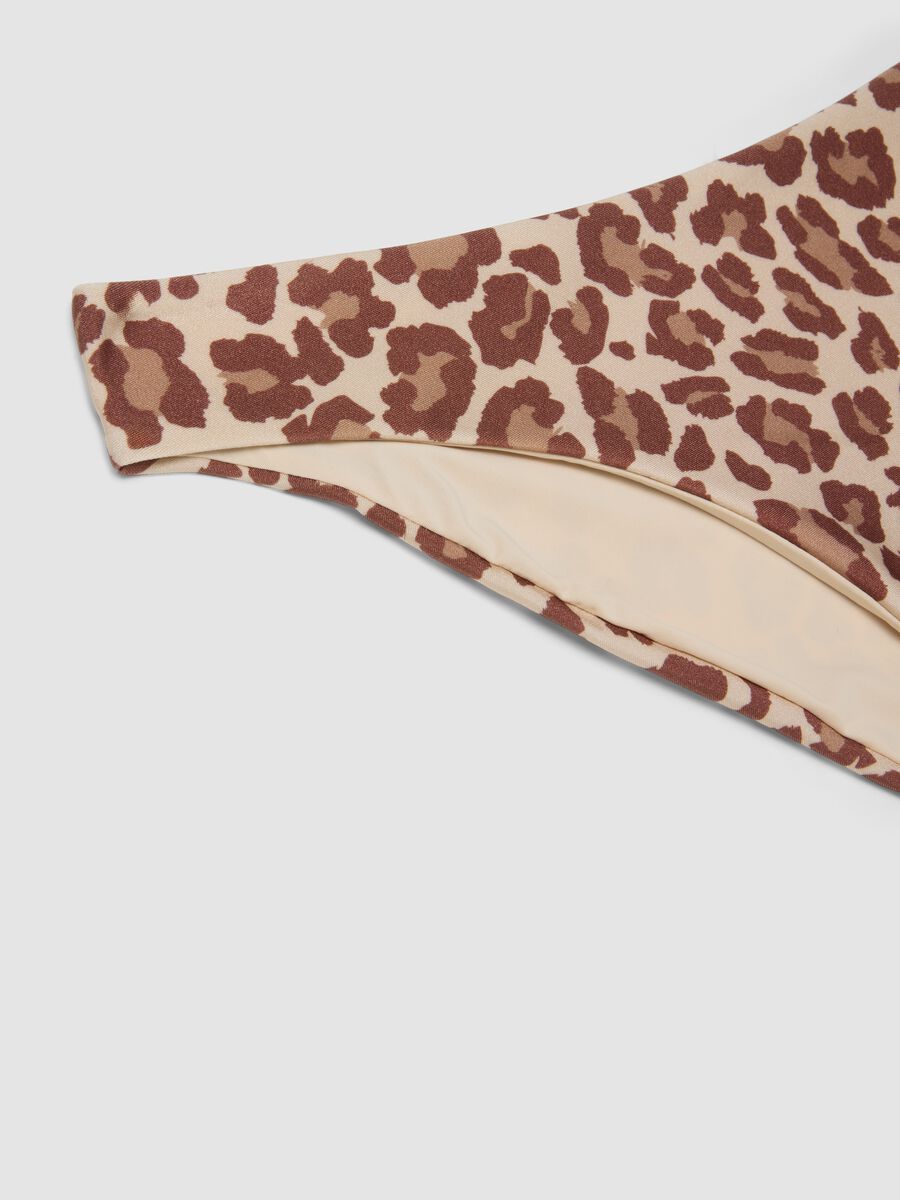 Multicolour leopard-print stretch bikini bottoms_5