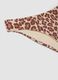Multicolour leopard-print stretch bikini bottoms_5