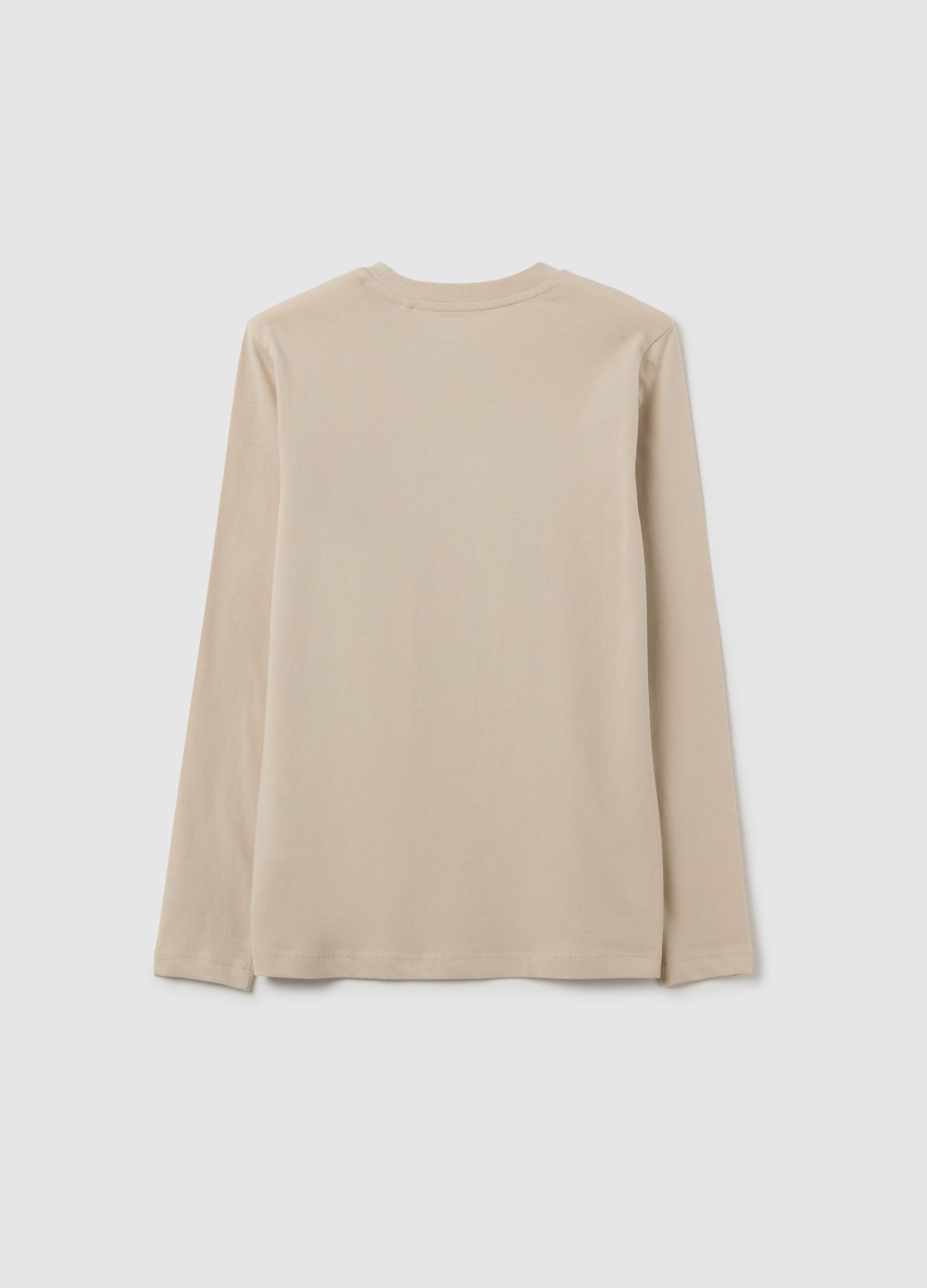 Boys' beige pure cotton regular fit sweater