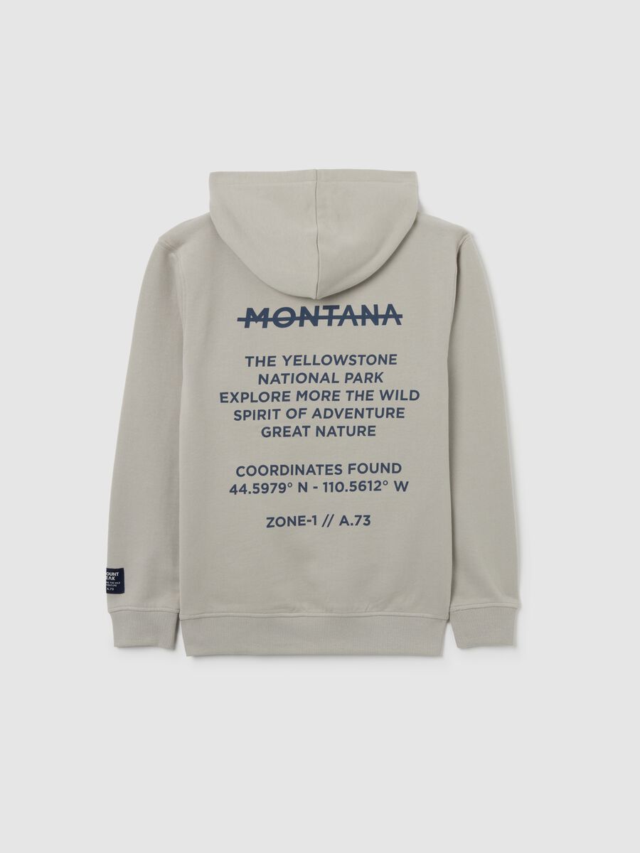 Felpa con cappuccio grigia da ragazzo in puro cotone regular fit_1