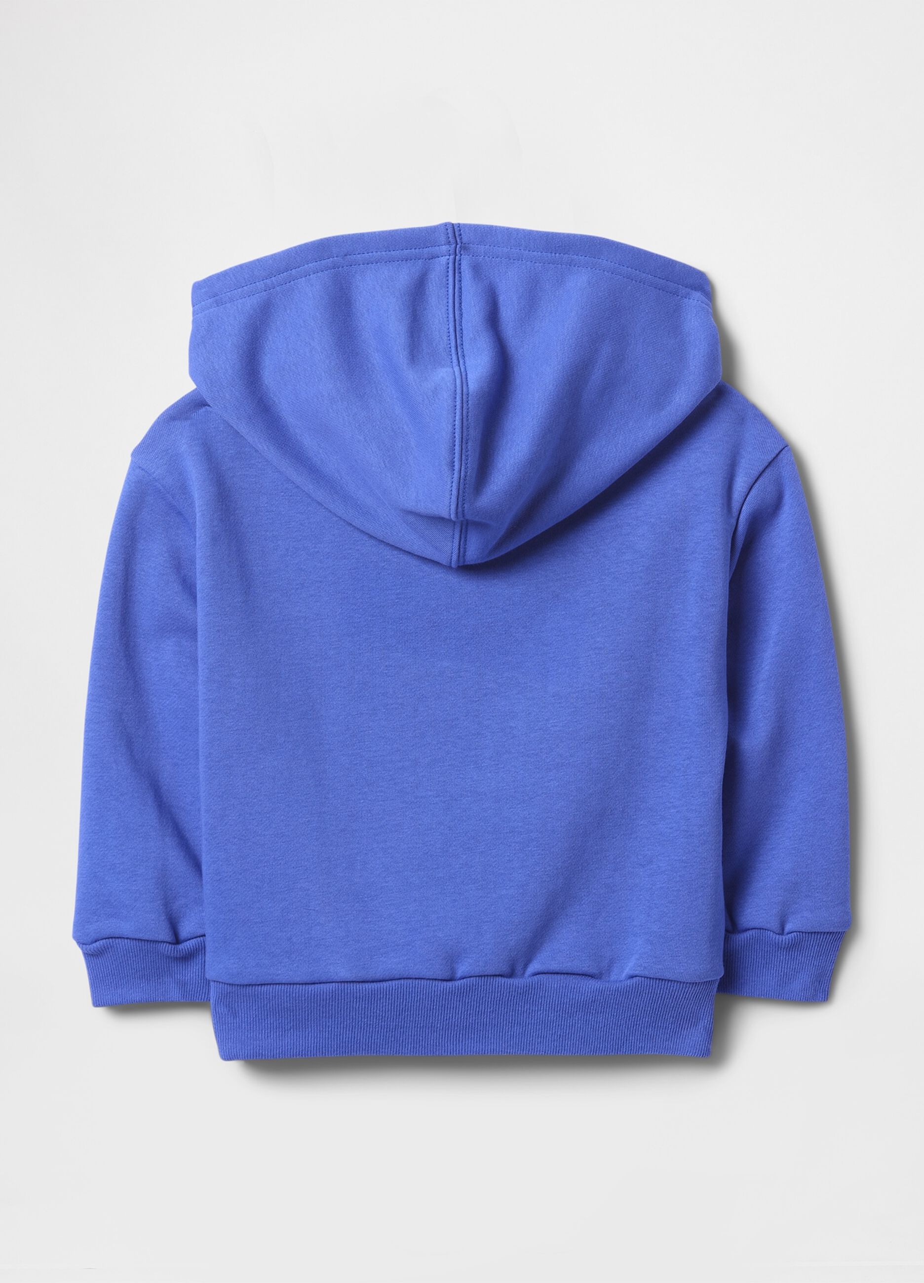 French terry sweatshirt with hood and logo print