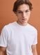 White pure-cotton crew-neck T-shirt in a regular fit_0