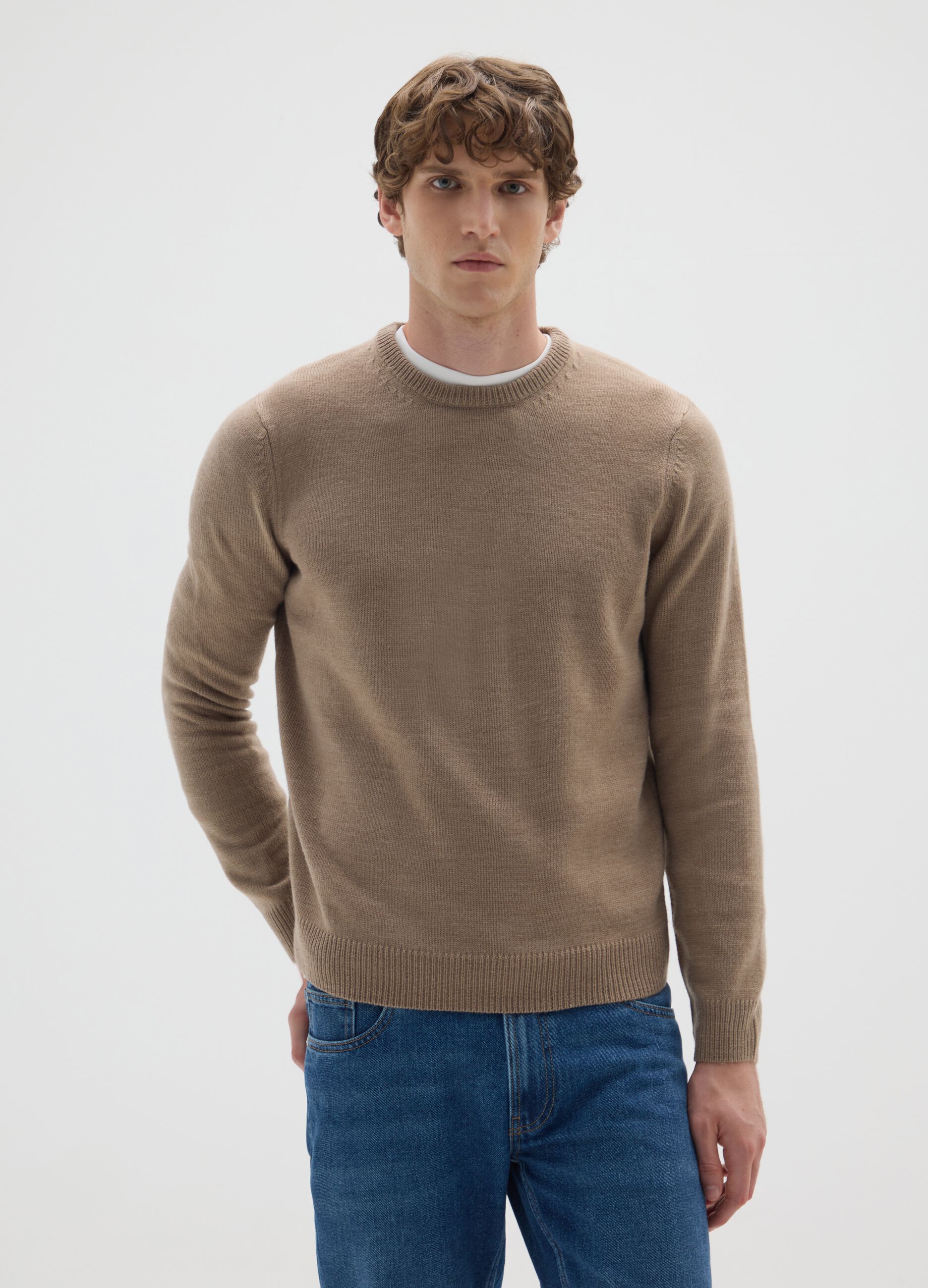 Regular Fit Beige Jumper