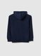 Blue Hooded Sweatshirt for Boys_4