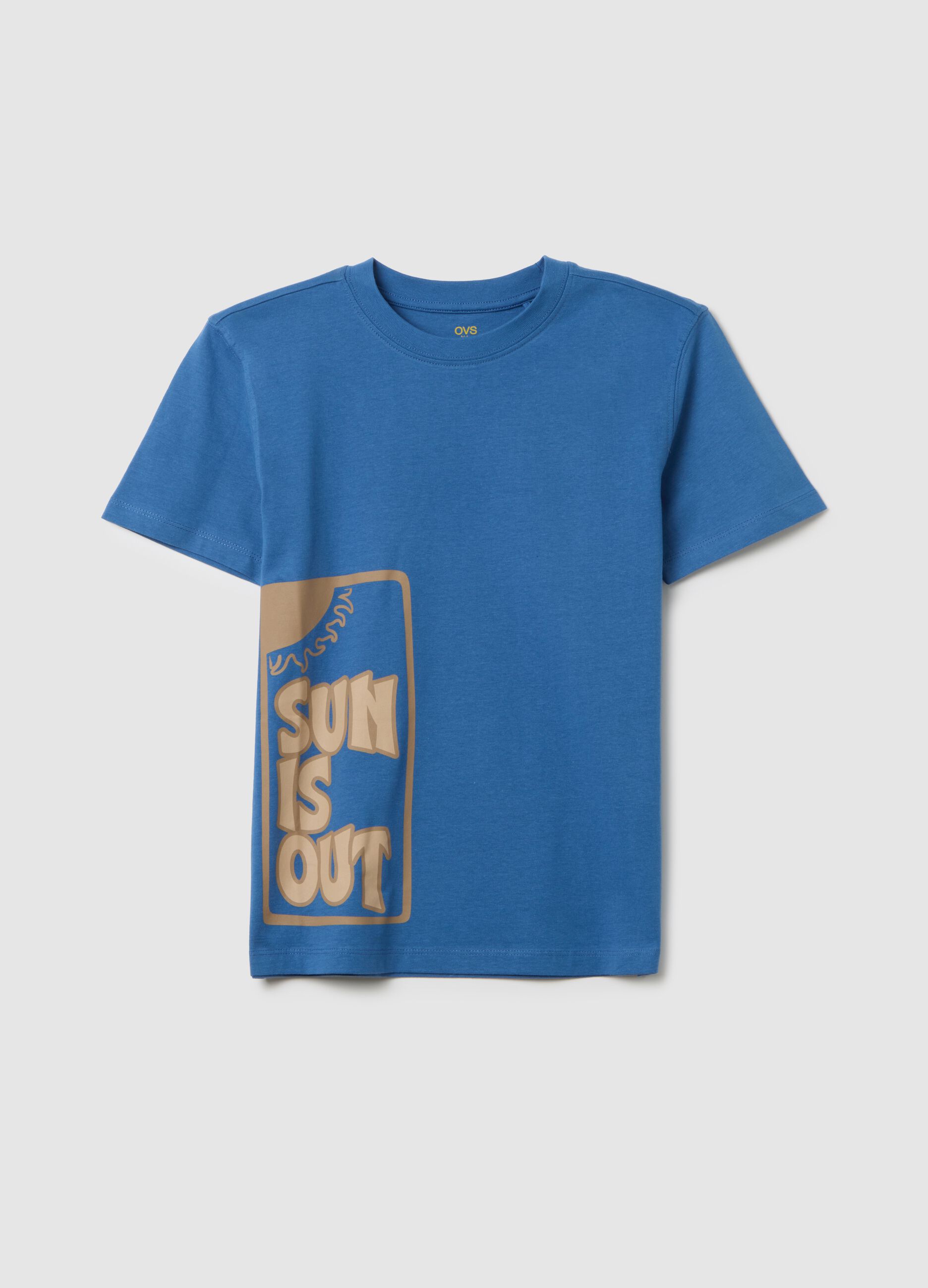Boys' Pure Cotton Blue Regular Fit T-shirt with Print