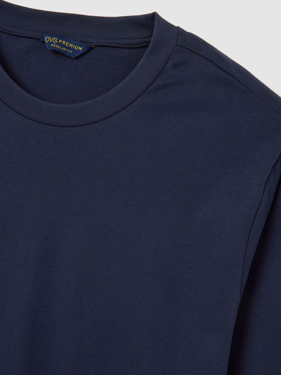 Blue pure cotton regular fit sweater_5