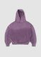 Hoodie Sunfaded Burgundy_0