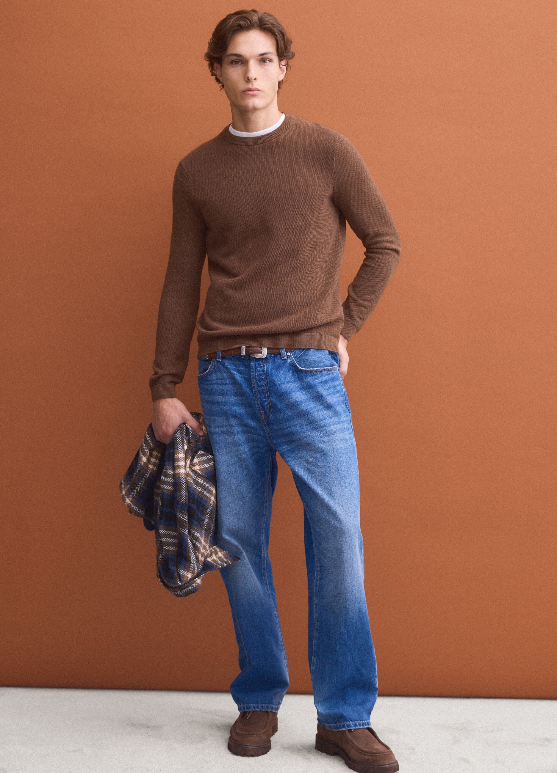 Brown pure cotton crew-neck jumper, regular fit