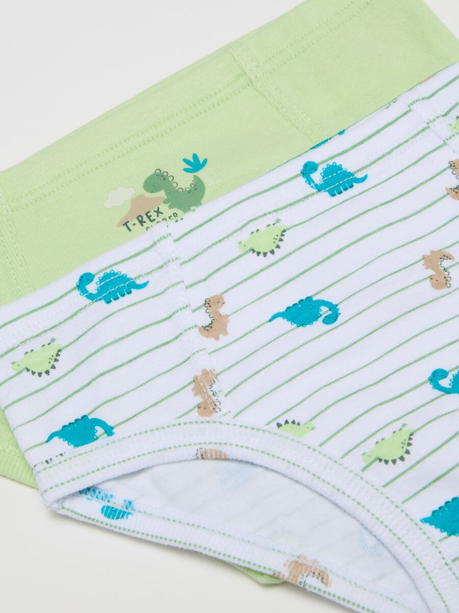 Two-pack cotton briefs with dinosaurs print_2