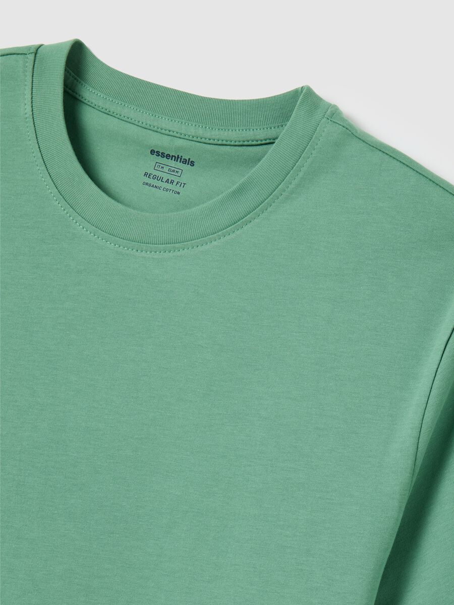 Men's Green Pure Cotton T-shirt Regular Fit_5