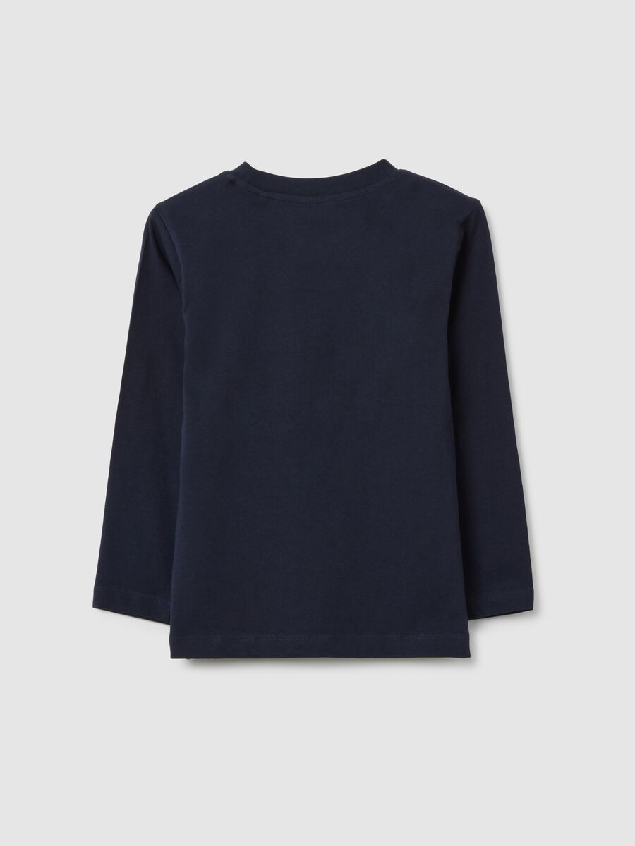 Children's blue pure cotton regular fit jumper_1