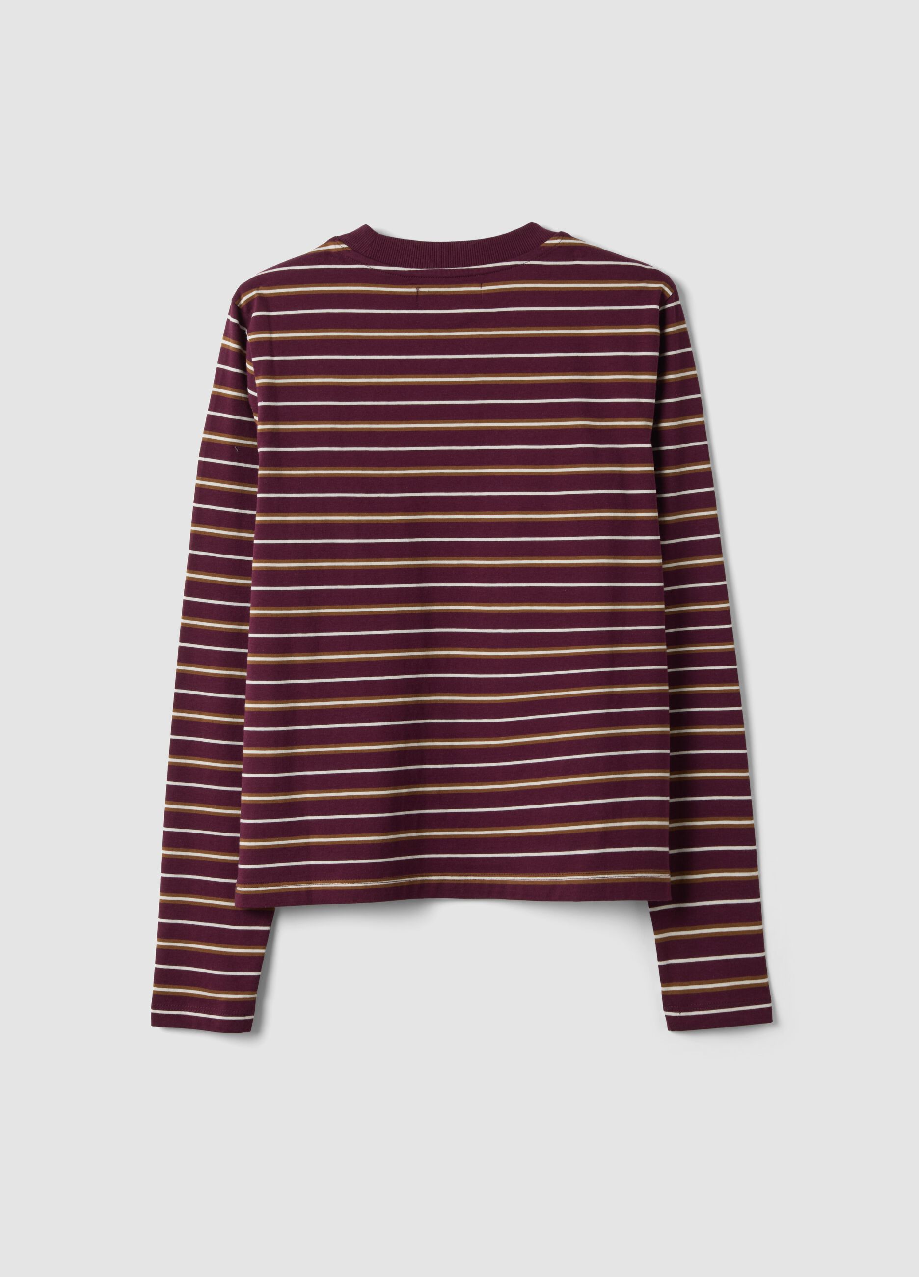 T-shirt multicolor in puro cotone a righe con girocollo regular fit