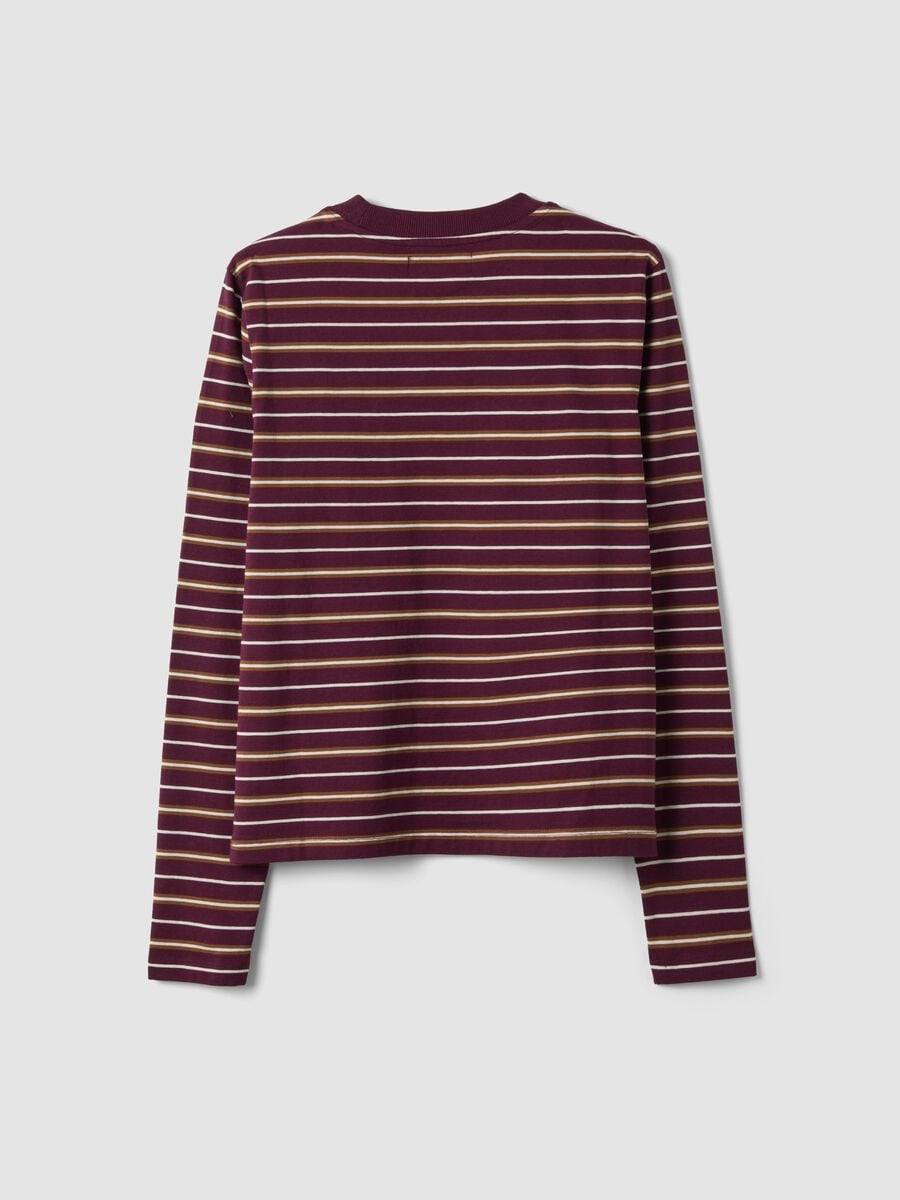 T-shirt multicolor in puro cotone a righe con girocollo regular fit_6