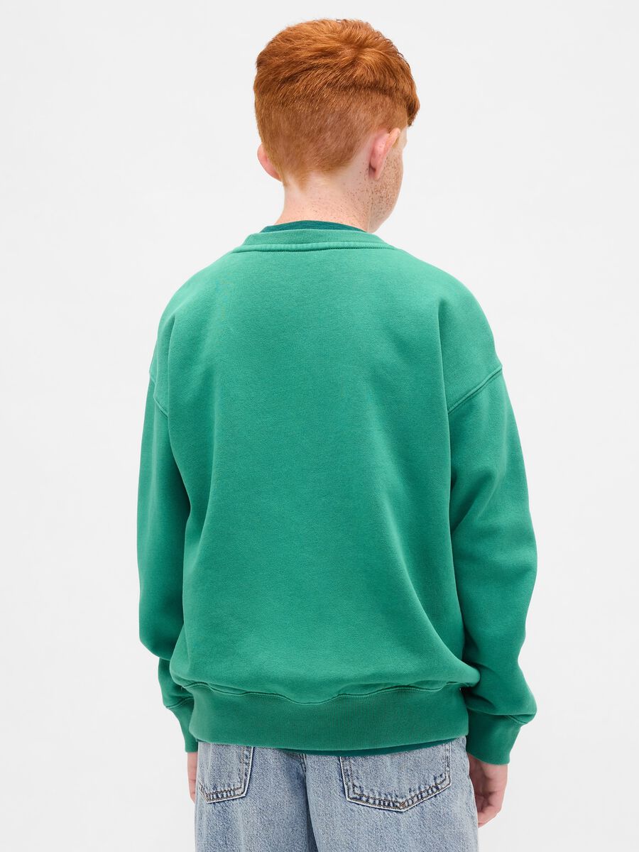 Green Cotton Crew Neck Sweatshirt_2