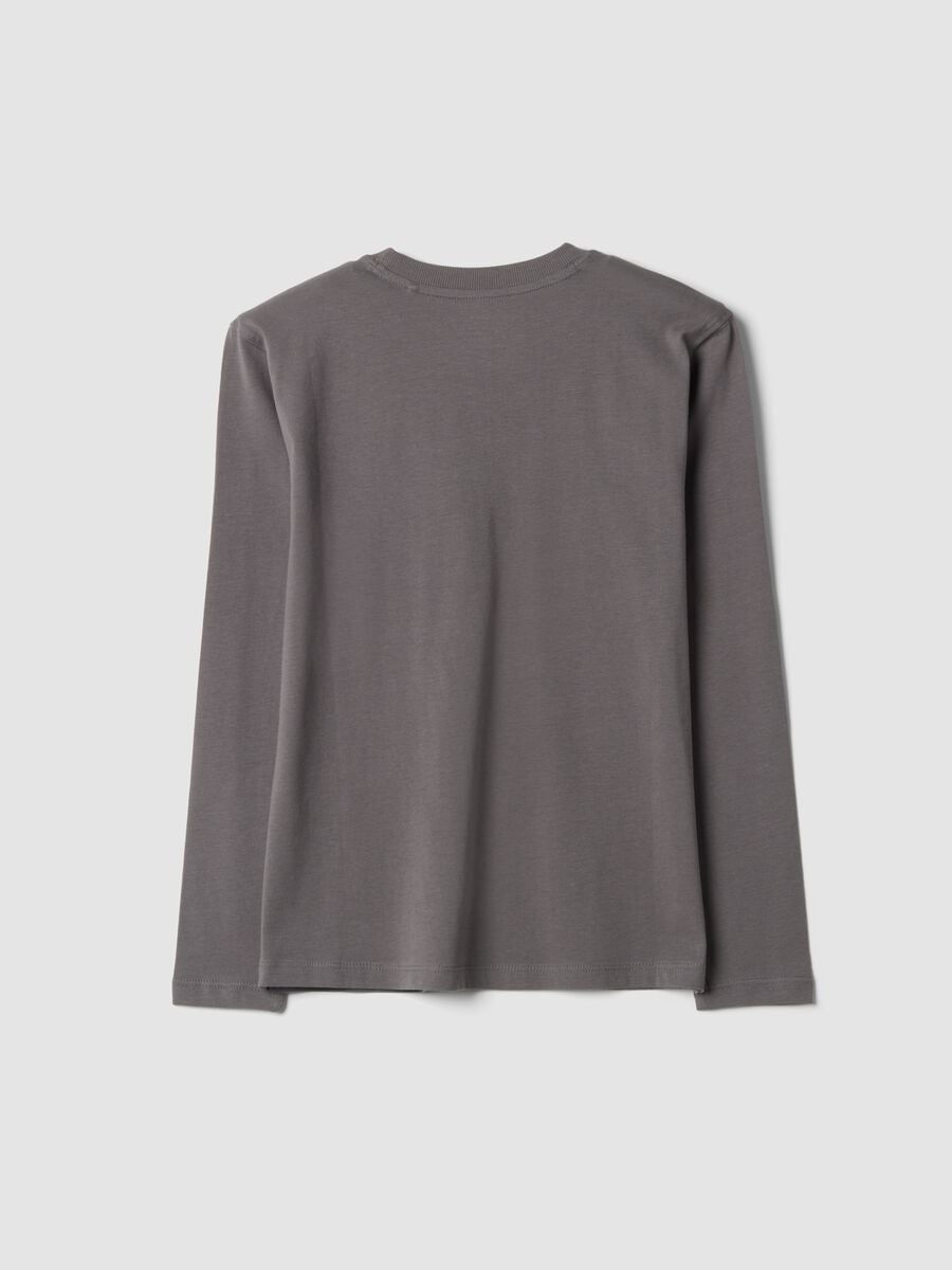 T-shirt grigia girocollo in puro cotone organico_2