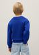 Boys' Regular Fit Blue Pure Cotton Jumper_1