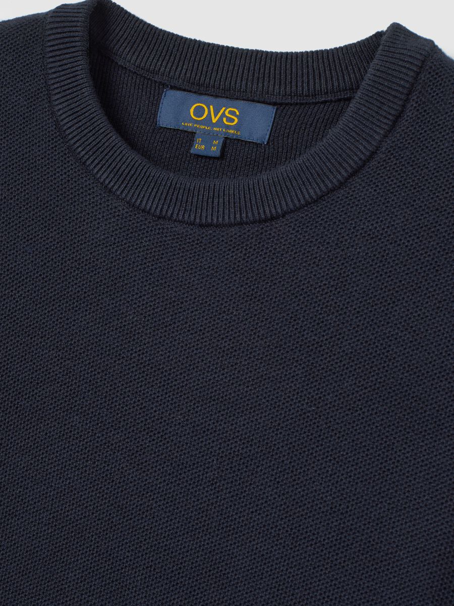 Blue Cotton Blend Regular Fit Jumper_5