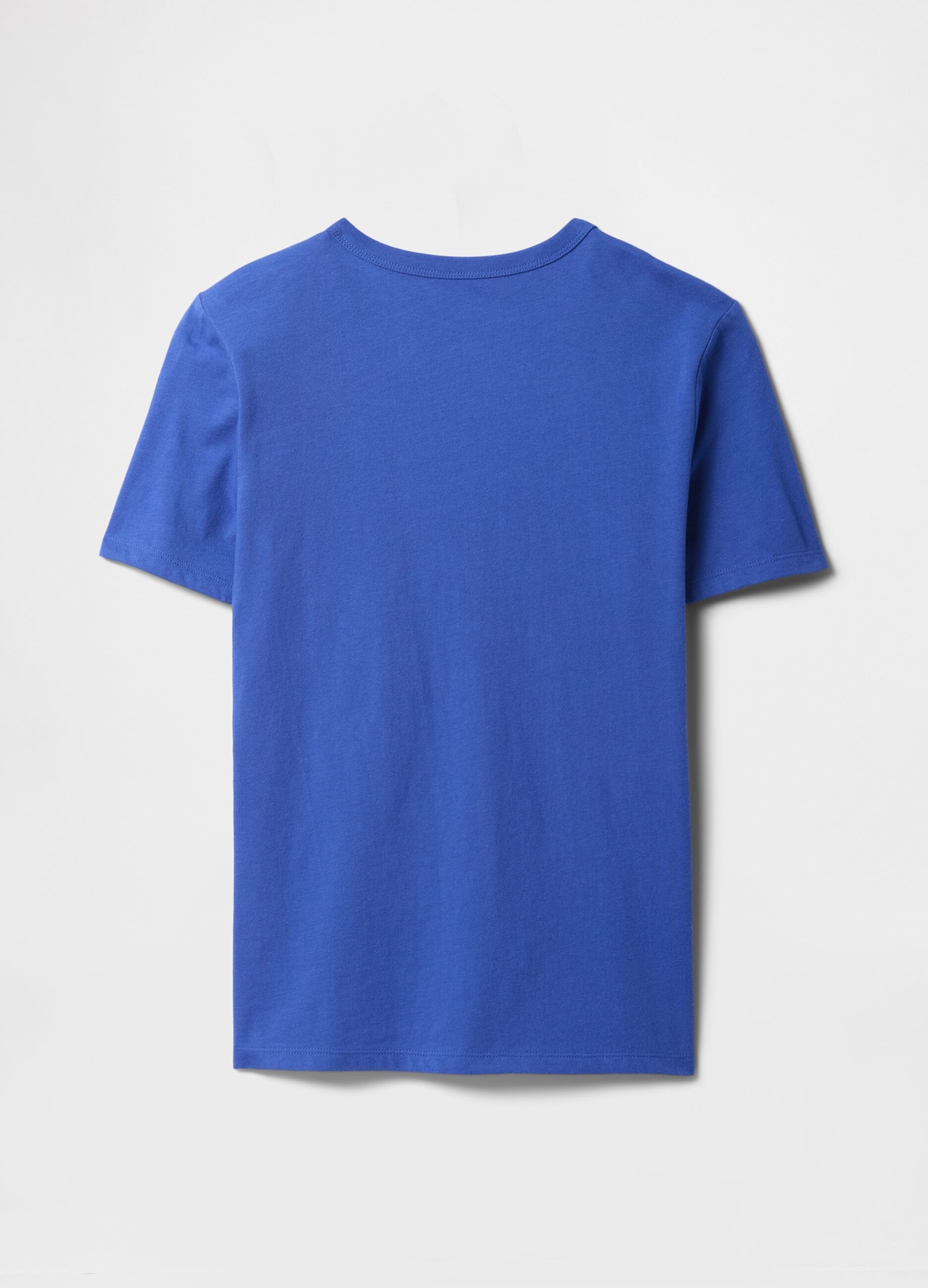 Blue GAP Logo Cotton T-shirt