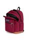 Bordeaux Cool Student Backpack Unisex_3