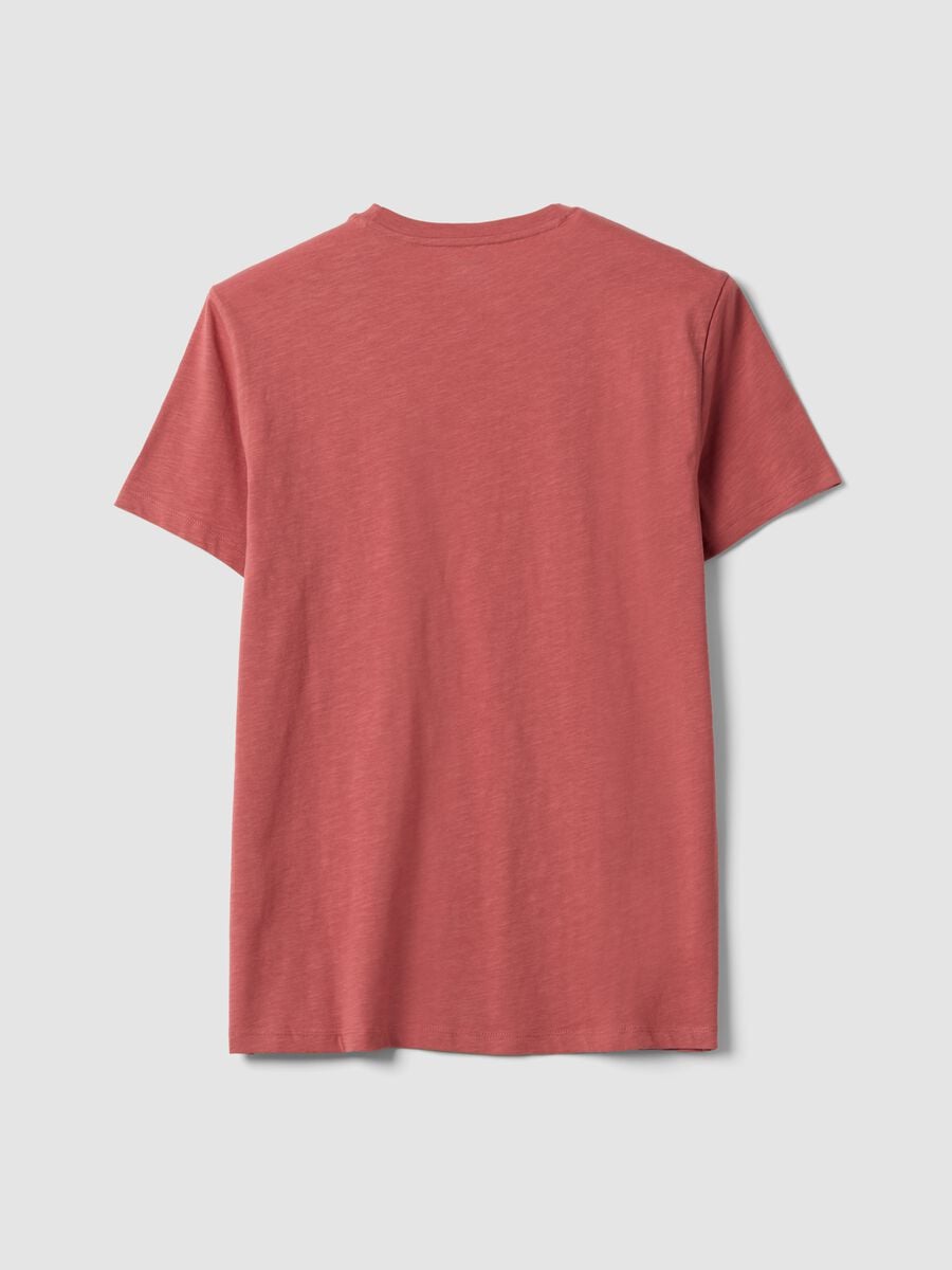 T-shirt rosa in puro cotone a maniche corte regular fit_6