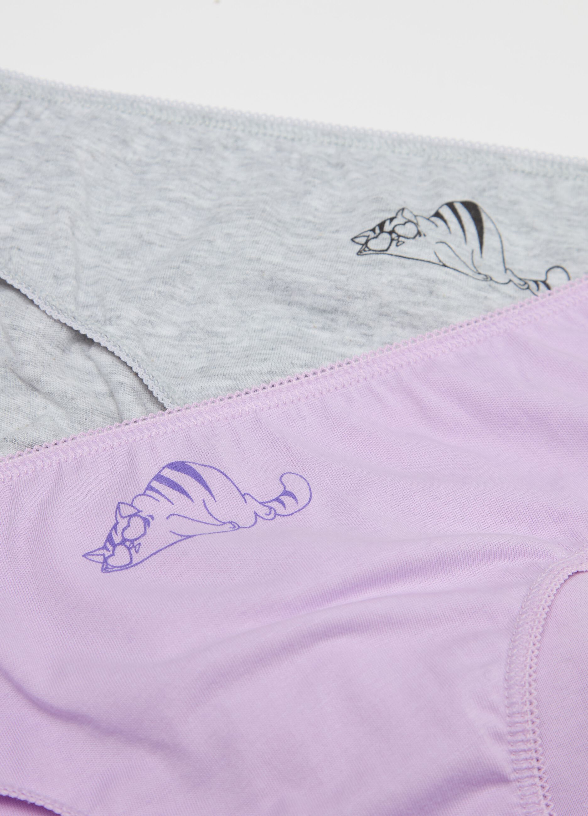 Five-pack briefs in cotton with sleeping cat print