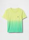 Lime Green Faded Crew Neck T-shirt_0
