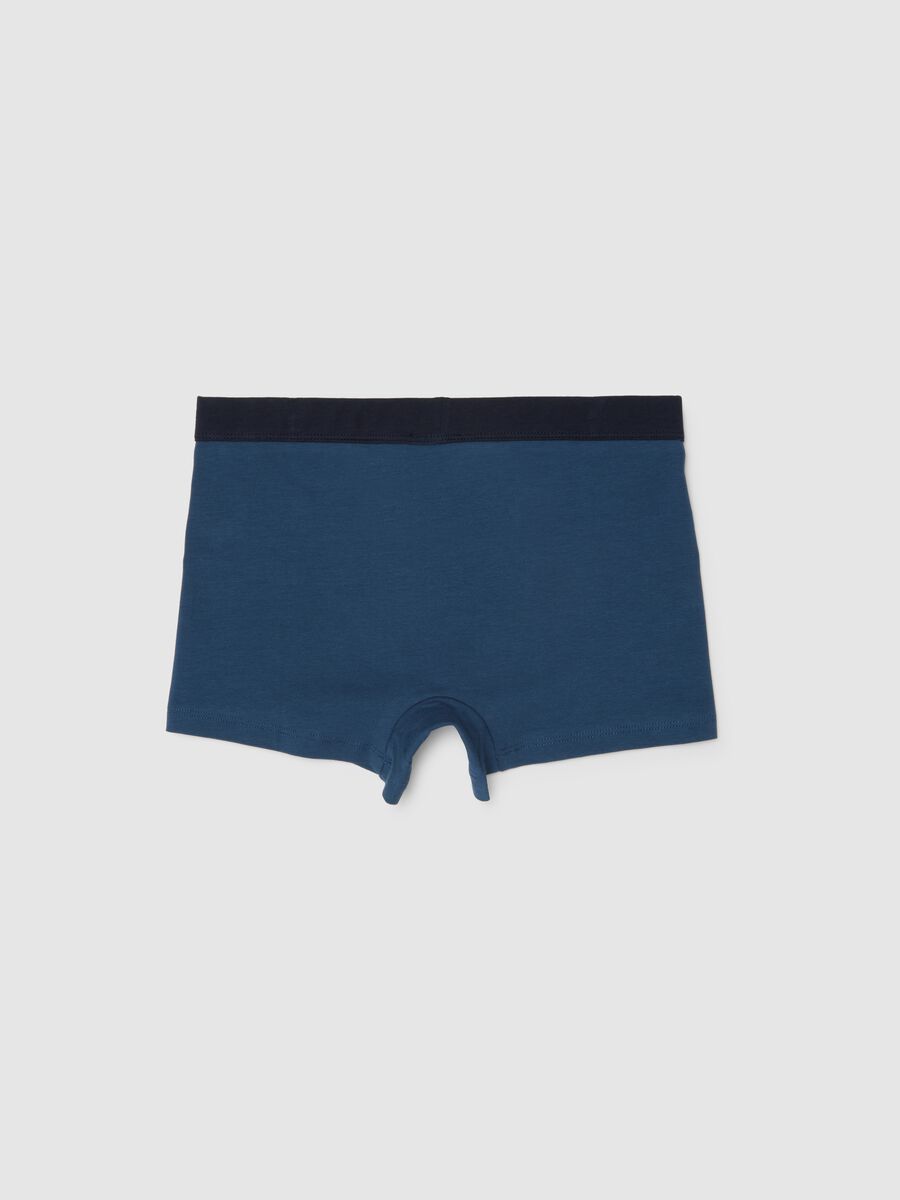 Boys' blue cotton blend regular fit boxers_1